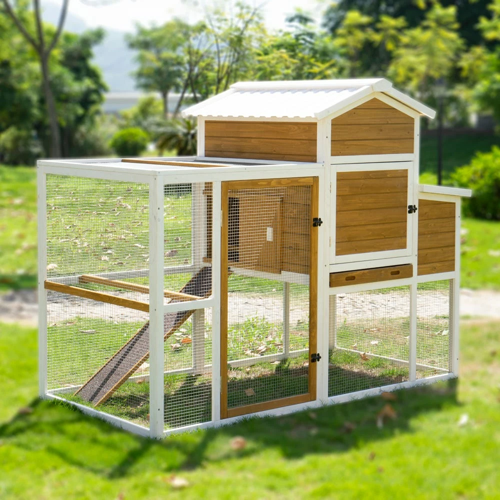 Country Road Barn Ranch Chicken Coop PVC Roof - SHW10993 - Chicken Coops 7 Country Road Barn Ranch Chicken Coop PVC Roof - SHW10993 - Chicken Coops - Image 5