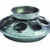 Miller Mfg. Round 1 Quart Jar Galvanized Feeder Set for Chicken - 9810 - Livestock Supplies -Livestock Online Store 09a3fd5ef15650c63ae7eb8bea5c4e413873e254 7840593 7840593 image 7840593