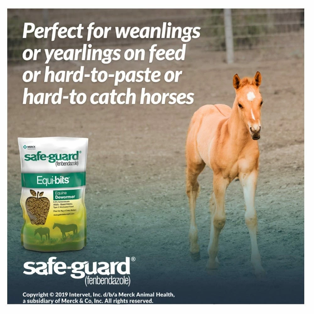 Merck Safe-Guard® Equi-Bits Horse Dewormer, 1.25 lbs. - 034613 - Dewormers 5 Merck Safe-Guard® Equi-Bits Horse Dewormer, 1.25 lbs. - 034613 - Dewormers - Image 3