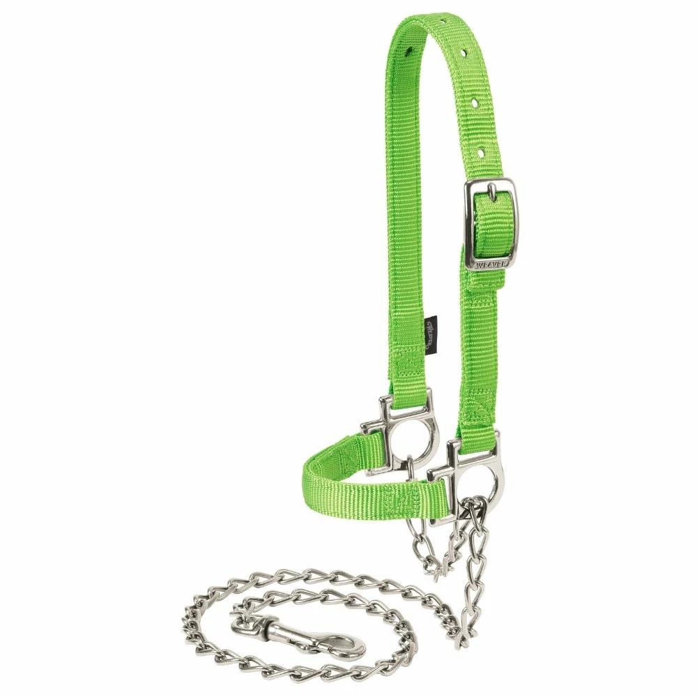 Weaver Leather Livestock Nylon Adjustable Sheep Halter with Chain Lead - Lime Zest - 35-8111-LI - Sheep Halters & Accessories 3 Weaver Leather Livestock Nylon Adjustable Sheep Halter with Chain Lead - Lime Zest - 35-8111-LI - Sheep Halters & Accessories