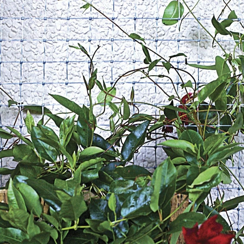 Garden Zone 24" x 50' Plastic Netting with 1" Mesh, Grey - 312450 - Fence and Wire 5 Garden Zone 24" x 50' Plastic Netting with 1" Mesh, Grey - 312450 - Fence and Wire - Image 3