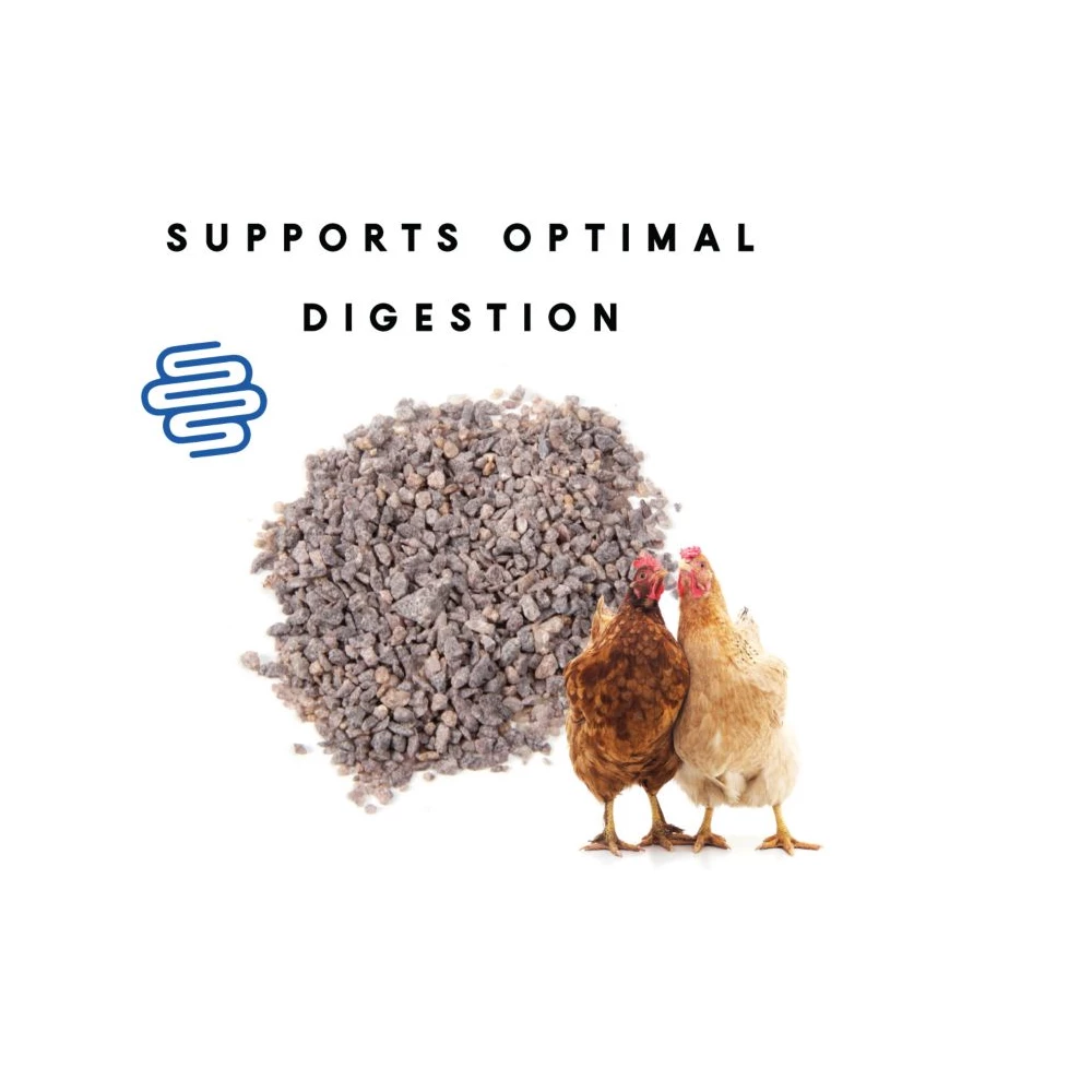 Manna Pro - Pro Poultry Grit, 25 lb. Bag - Chicken Supplies 5 Manna Pro - Pro Poultry Grit, 25 lb. Bag - Chicken Supplies - Image 3