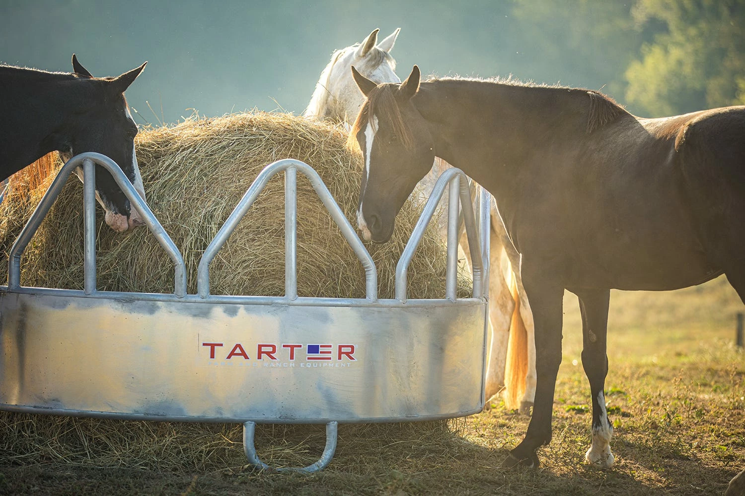 Tarter Equine Pro Hay Feeder Galvanized - GHF - Equine Feeders 5 Tarter Equine Pro Hay Feeder Galvanized - GHF - Equine Feeders - Image 3