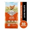 Various Brands Country Road Layer Pellet Feed, 50 lb. Bag - Chicken Feed 2 Various Brands Country Road Layer Pellet Feed, 50 lb. Bag - Chicken Feed -Livestock Online Store 0ebe546a17637f4adb5c563c72682f7588b7977d 4671179.2