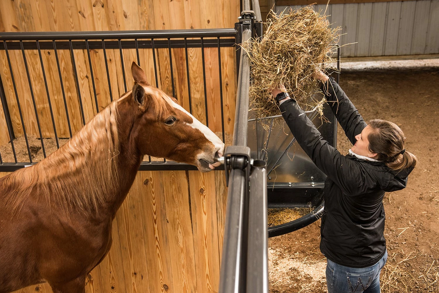 Tarter Galvanized Hay & Grain Feeder Corner Mount - SCFG - Equine Feeders 5 Tarter Galvanized Hay & Grain Feeder Corner Mount - SCFG - Equine Feeders - Image 3