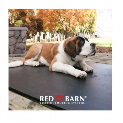 Red Barn 4' x 6' Rubber Horse Mat 3/4" Thick - HORSEMAT - Livestock Supplies 18 Red Barn 4' x 6' Rubber Horse Mat 3/4" Thick - HORSEMAT - Livestock Supplies -Livestock Online Store 0f201412baf04306e6cf351c0f33b063e8835a90 50500013 6