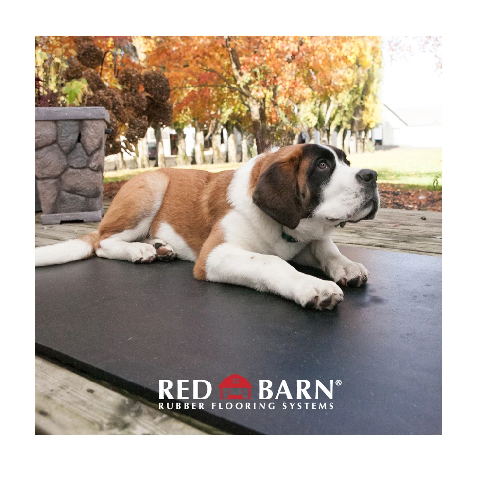 Red Barn 4' x 6' Rubber Horse Mat 3/4" Thick - HORSEMAT - Livestock Supplies 9 Red Barn 4' x 6' Rubber Horse Mat 3/4" Thick - HORSEMAT - Livestock Supplies - Image 7