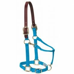 Weaver Leather Nylon Adjustable Breakaway Horse Halter - Average - Hurricane Blue - 35-6025-HB - Nylon Halters