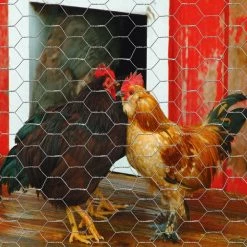 Garden Craft 48" x 50' Chicken Wire with 1" Openings - 164850 - Fence and Wire -Livestock Online Store 10661dae2e4459e47172c47fd6f6f2824f45c956 99490074 3