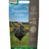 Nutrena NatureWise® Oyster Shell Poultry Feed, 7 lb. Bag - Chicken Feed 1 Nutrena NatureWise® Oyster Shell Poultry Feed, 7 lb. Bag - Chicken Feed -Livestock Online Store 15528fa8b70c74b758aab197b3ca051b3ad3c08d 50000652 50000652 image 500000552 naturewise oystershell 7lb 1