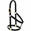 Weaver Leather Basic Non - Adjustable Nylon Halter - Black - 1 Inch Small Horse - 35-7404-BK - Nylon Halters 1 Weaver Leather Basic Non - Adjustable Nylon Halter - Black - 1 Inch Small Horse - 35-7404-BK - Nylon Halters -Livestock Online Store 1ef5995b5cde0397d4c3a63ce4a8ac0d0677d638 67504138 67504138 image 35 7404 bk