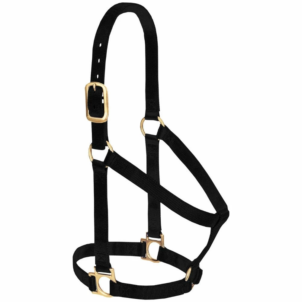 Weaver Leather Basic Non - Adjustable Nylon Halter - Black - 1 Inch Small Horse - 35-7404-BK - Nylon Halters 3 Weaver Leather Basic Non - Adjustable Nylon Halter - Black - 1 Inch Small Horse - 35-7404-BK - Nylon Halters