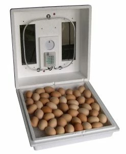 Farm Innovators Still Air Incubator 2100 - Chicken Incubators 9 Farm Innovators Still Air Incubator 2100 - Chicken Incubators -Livestock Online Store 1fc95f6b1dc1fc130e3118e95375666d14d77be6 2 18 217