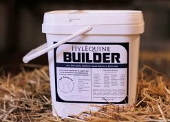 HylEquine Builder 20 LB BUILDER20 - Livestock Supplies