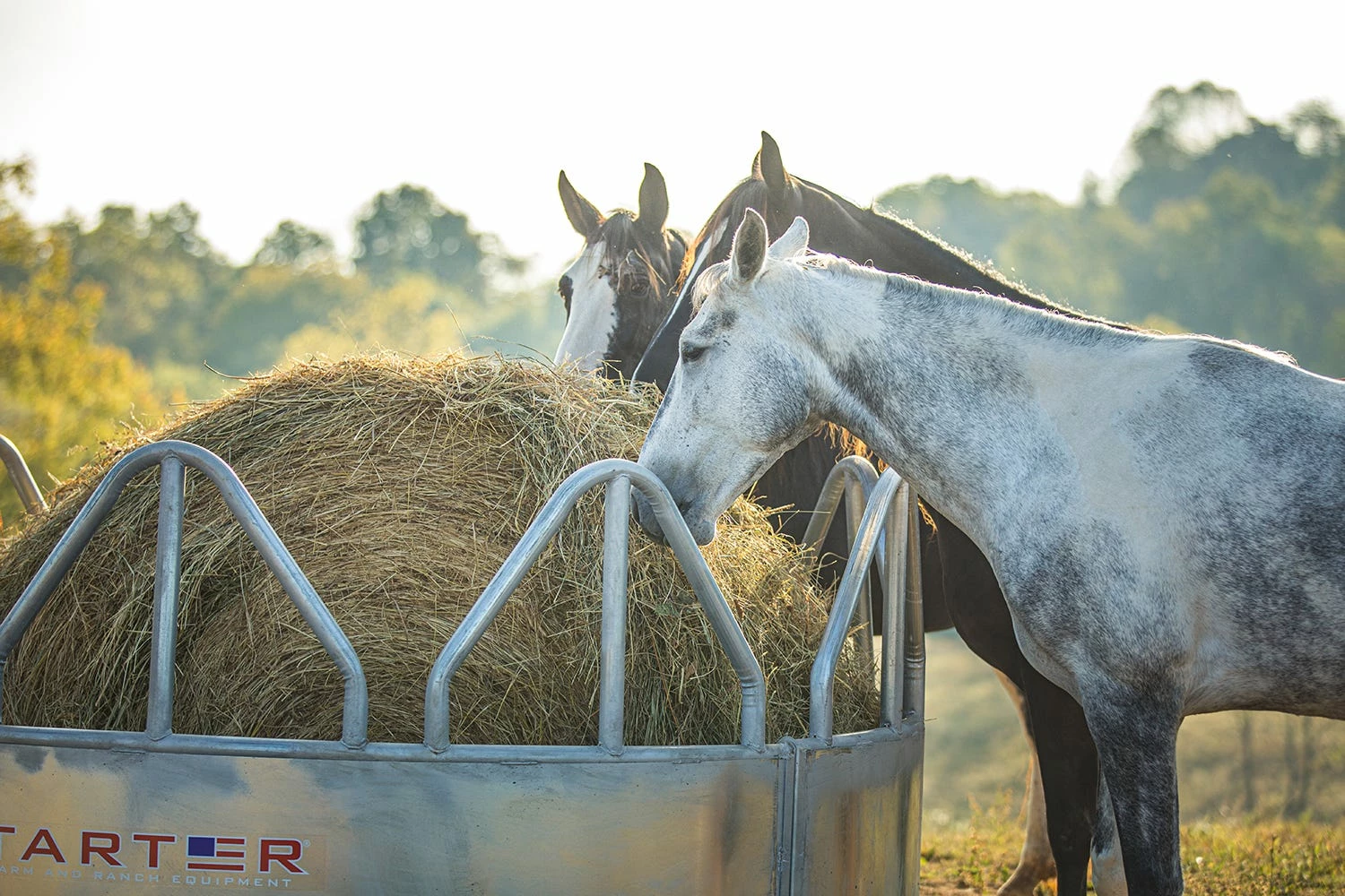Tarter Equine Pro Hay Feeder Galvanized - GHF - Equine Feeders 4 Tarter Equine Pro Hay Feeder Galvanized - GHF - Equine Feeders - Image 2