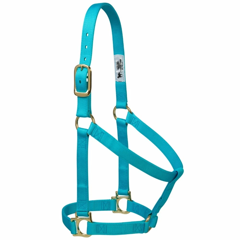 Weaver Leather Basic Non - Adjustable Nylon Halter - Turquoise - 1 Inch Small Horse - 35-7404-TU - Nylon Halters 3 Weaver Leather Basic Non - Adjustable Nylon Halter - Turquoise - 1 Inch Small Horse - 35-7404-TU - Nylon Halters