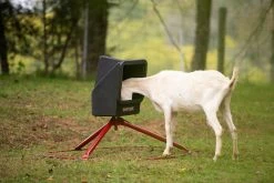 Livestock Online Store 21 Livestock Online Store -Livestock Online Store 2b505217f5b7fb719b8a734d0dd0063076ee0297 GMF SmallAnimalMineralFeeder L 008