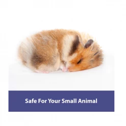 Kaytee Clean & Cozy Natural Small Animal Pet Bedding, 72 Liters - 100533037 - Accessories -Livestock Online Store 336d9118f30b05e00c45075c24c2072f525b47d0 14583099 3