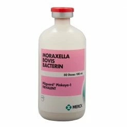 Merck Piliguard Pinkeye-1 Trivalent 50 doses - 000643 - Livestock Health 5 Merck Piliguard Pinkeye-1 Trivalent 50 doses - 000643 - Livestock Health -Livestock Online Store 34cd25f93aaf411e23f428e36a11eeca354f981c 360724 360724 image 360724