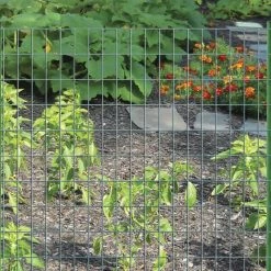 Garden Craft 36" x 50' Green Vinyl Fence with 2" x 3" Openings - 023650 - Fence and Wire -Livestock Online Store 38b290b9fd2a9c89c9d042c9ca57dfb91c0d7abe 99490427 4