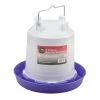 Various Brands 1 Gallon Poultry Waterer, Purple - 66312 - Small Animal Equipment 2 Various Brands 1 Gallon Poultry Waterer, Purple - 66312 - Small Animal Equipment -Livestock Online Store 394b93120c7f89f8f233e885db6c81624393b3bc 21040203