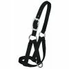 Weaver Leather Livestock Llama Halter - Black - 3/4 Inch Medium/Large - 35-7086-BK - Cow Halters, Leads, & Barn Supplies 2 Weaver Leather Livestock Llama Halter - Black - 3/4 Inch Medium/Large - 35-7086-BK - Cow Halters, Leads, & Barn Supplies -Livestock Online Store 39cf2e7faf72a3c2c76225fc5138f783f6771feb 67517879 67517879 image 35 7086 bk