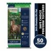 Nutrena® SafeChoice® Perform Textured Horse Feed, 50 lb. Bag -Livestock Online Store 39d830c8e7f3cd13b3526fb48c67ddb8582a881c 4671409.3