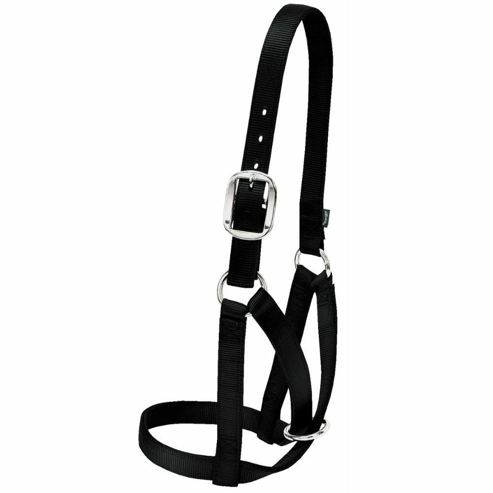 Weaver Leather Livestock Barn Cow Halter - Black - 1 Inch Large - 35-8005-BK - Cow Halters, Leads, & Barn Supplies 4 Weaver Leather Livestock Barn Cow Halter - Black - 1 Inch Large - 35-8005-BK - Cow Halters, Leads, & Barn Supplies - Image 2