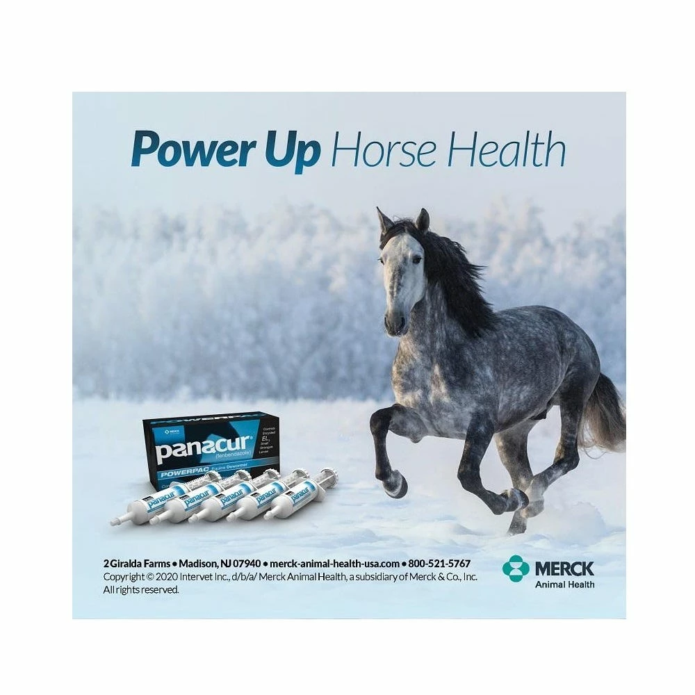 Merck Panacur® PowerPac Horse Dewormer, 57 gm - 017754 - Dewormers 4 Merck Panacur® PowerPac Horse Dewormer, 57 gm - 017754 - Dewormers - Image 2
