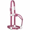 Weaver Leather Original Adjustable Nylon Halter with Chrome Plated Hardware - Medium - Blush - 35-7375-BH - Nylon Halters
