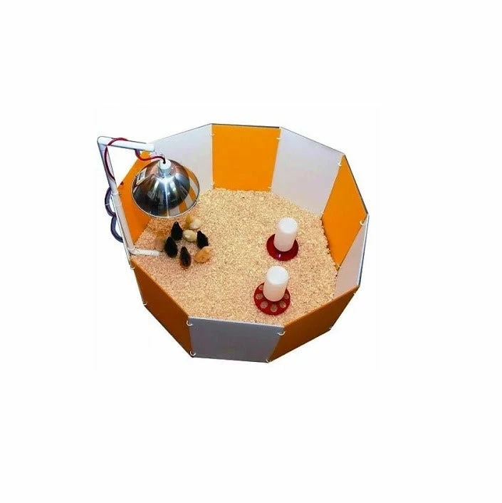 Farm Innovators Baby Chick Starter Home - 3700 - Chicken Brooders 3 Farm Innovators Baby Chick Starter Home - 3700 - Chicken Brooders