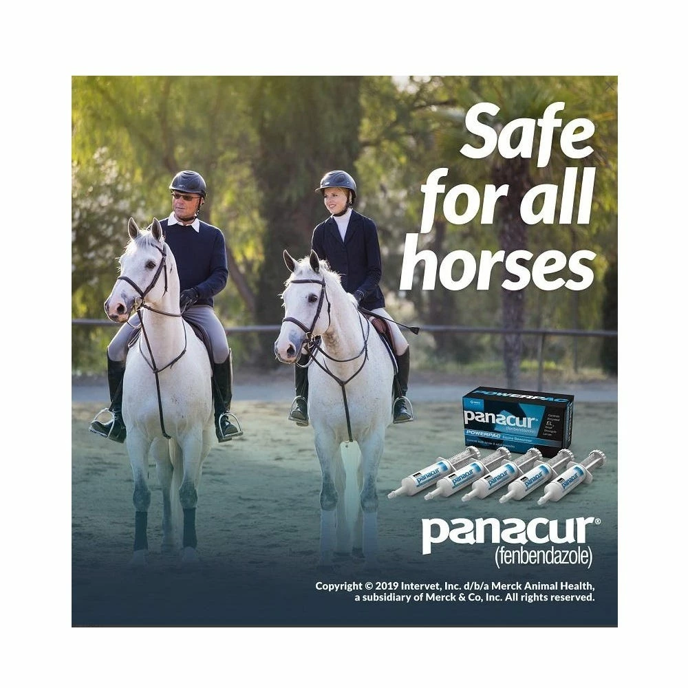 Merck Panacur® PowerPac Horse Dewormer, 57 gm - 017754 - Dewormers 6 Merck Panacur® PowerPac Horse Dewormer, 57 gm - 017754 - Dewormers - Image 4