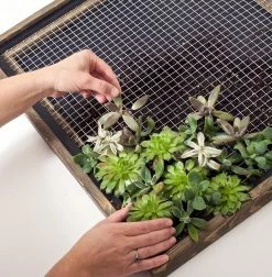 Garden Craft 24" x 50' Galvanized Hardware Cloth with 1/2" Openings - 132450 - Fence and Wire -Livestock Online Store 54642b1c02a16875c17c6f6aeb5ce460081c97ae 132450 4