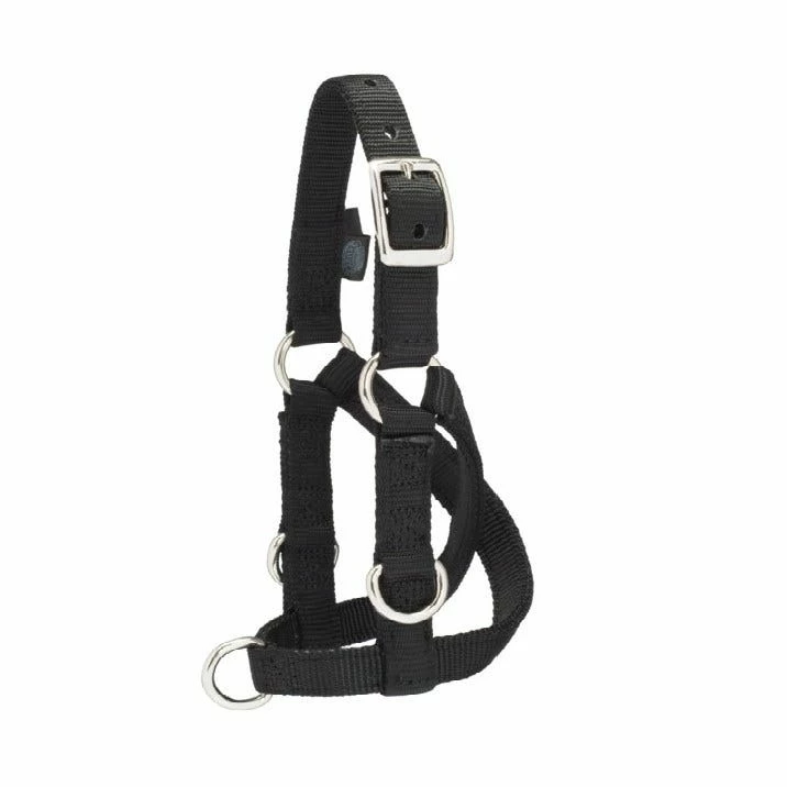 Weaver Leather Sheep and Goat Training Halter Medium Black 35-7131-BK - Horse Equipment 3 Weaver Leather Sheep and Goat Training Halter Medium Black 35-7131-BK - Horse Equipment
