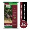 Nutrena Empower® Boost Horse Supplement, 40 lb. Bag - Horse Feed 1 Nutrena Empower® Boost Horse Supplement, 40 lb. Bag - Horse Feed -Livestock Online Store 5844efab89c1972af29389373e408343ec088415 108708.2