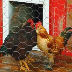 Garden Craft 24" x 25' Chicken Wire with 1" Openings - 162425 - Fence and Wire -Livestock Online Store 588e519539dec4e7b2b80d67ad8217566423be9b 99490168 3