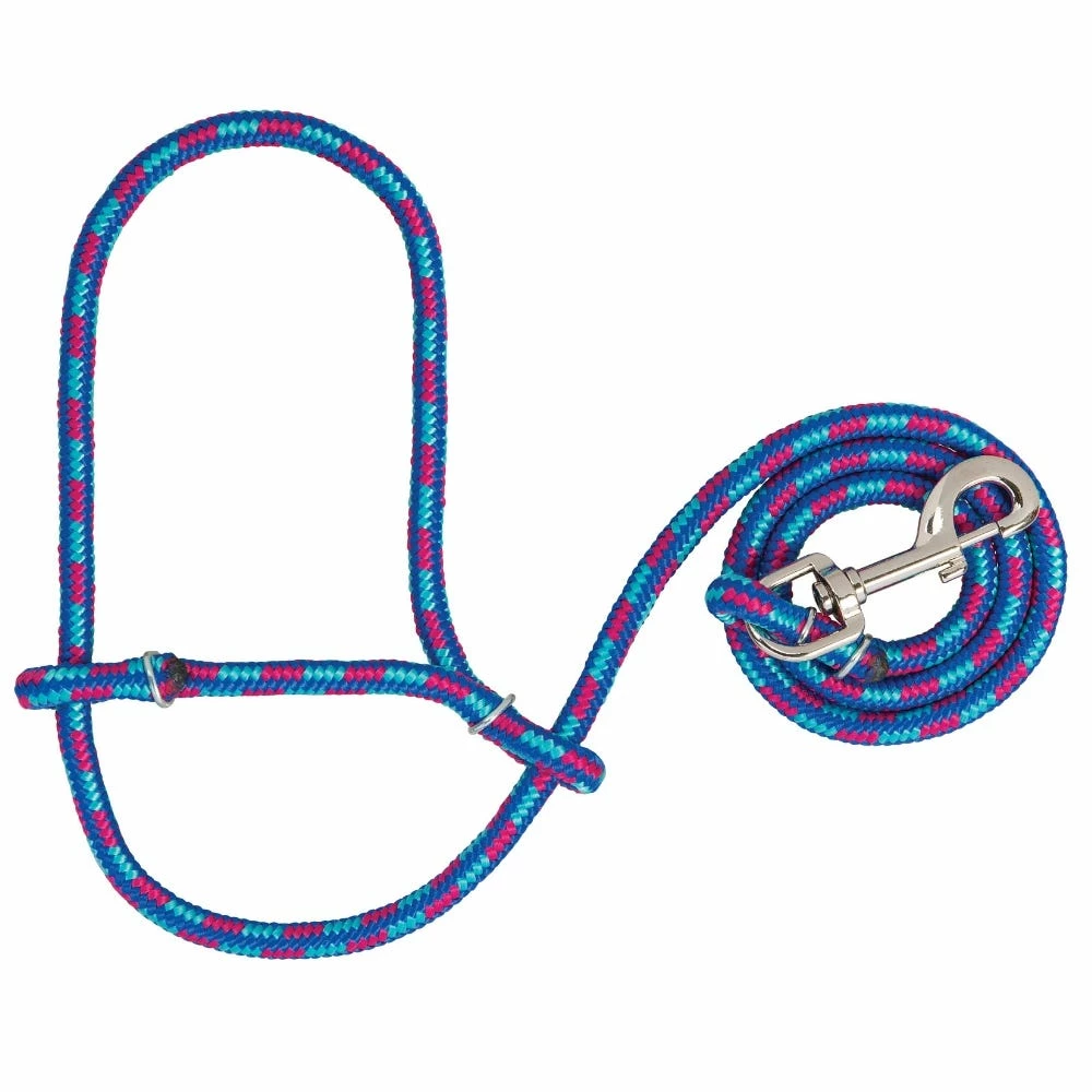 Weaver Leather Livestock Poly Rope Sheep Halter with Snap - Hurricane Blue/Royal Blue/Rose - 35-7845-K34 - Sheep Halters & Accessories 3 Weaver Leather Livestock Poly Rope Sheep Halter with Snap - Hurricane Blue/Royal Blue/Rose - 35-7845-K34 - Sheep Halters & Accessories