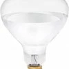 Various Brands Brooder 250 Watt Heat Lamp Bulb Clear - Livestock Supplies