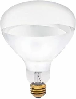 Various Brands Brooder 250 Watt Heat Lamp Bulb Clear - Livestock Supplies