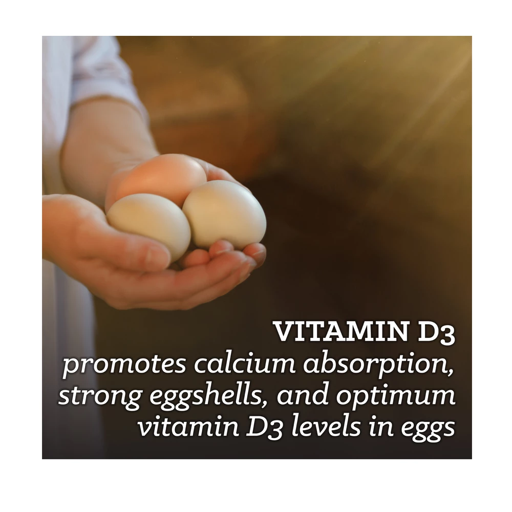 Nutrena NatureWise® Hearty Hen 18% Protein Pellet Feed, 40 lb. Bag - Chicken Feed 8 Nutrena NatureWise® Hearty Hen 18% Protein Pellet Feed, 40 lb. Bag - Chicken Feed - Image 6