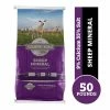 Country Road Sheep Mineral Sheep Feed, 50 lb. Bag 1 Country Road Sheep Mineral Sheep Feed, 50 lb. Bag -Livestock Online Store 6296652ac0dd0ff7bbfa9ee510007a23149f5fb2 4671130.2