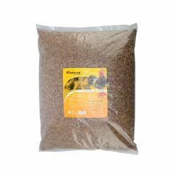 Various Brands Mealworm Chicken Treats, 12 lb. Bag - 80680 - Small Animal Equipment
