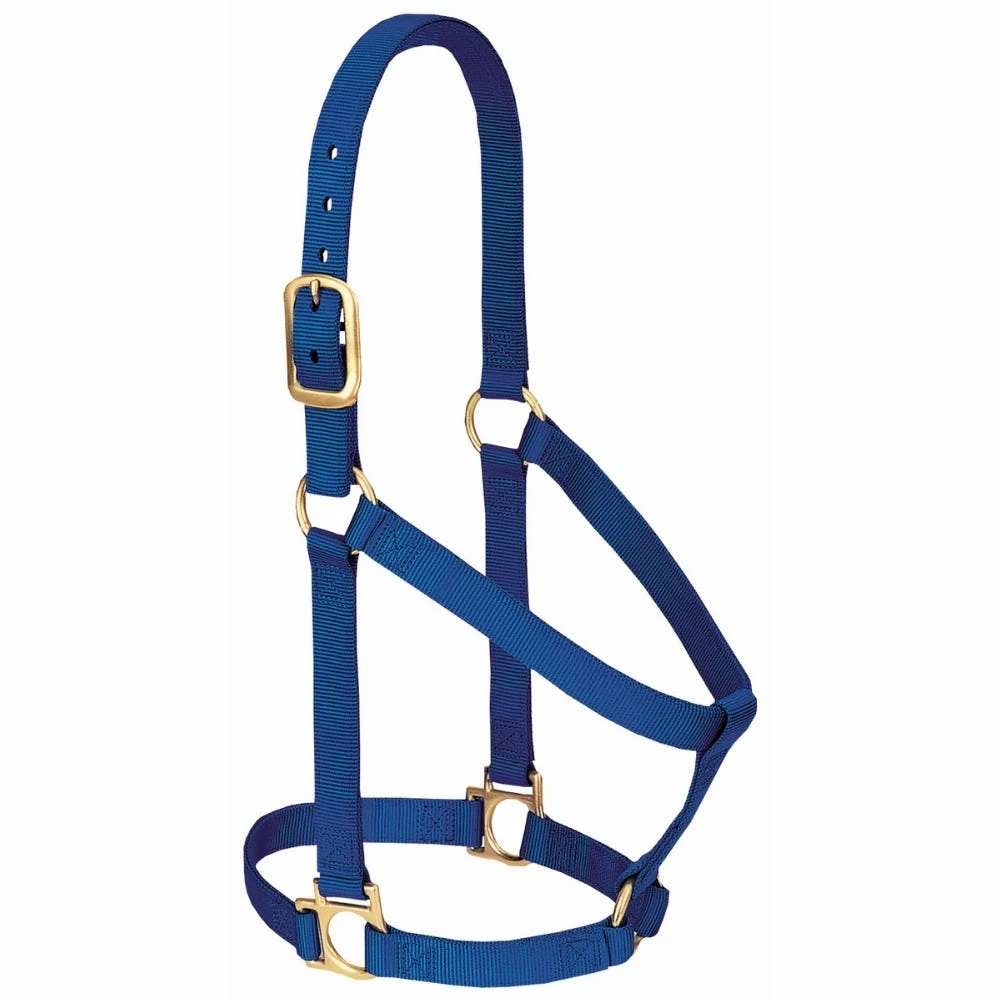 Weaver Leather Basic Non - Adjustable Nylon Halter - Blue - 1 Inch Average Horse - 35-7405-BL - Nylon Halters 4 Weaver Leather Basic Non - Adjustable Nylon Halter - Blue - 1 Inch Average Horse - 35-7405-BL - Nylon Halters - Image 2