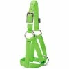 Weaver Leather Livestock Goat Halter - Lime Zest - 3/4 Inch Small - 35-8150-LI - Goat Halters & Accessories -Livestock Online Store 6688d3a945c1273dee0c5bc7329a37f61d803c6d 67531104 67531104 image 35 8150 li