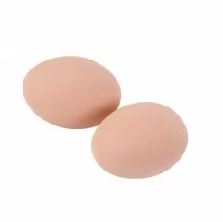 Little Giant Ceramic Nest Eggs - Brown, 2-Pack - CEGGBRN - Livestock Supplies -Livestock Online Store 6cc11b541843228b6832ee0ed3cd72dc95194cda 121460018