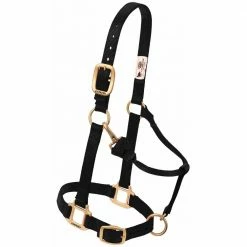 Weaver Leather Original Adjustable Nylon Horse Halter - Black - 1 Inch Large - 35-7036-BK - Nylon Halters