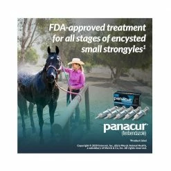 Merck Panacur® PowerPac Horse Dewormer, 57 gm - 017754 - Dewormers 11 Merck Panacur® PowerPac Horse Dewormer, 57 gm - 017754 - Dewormers -Livestock Online Store 74b5a3e2f1661e7c28ef2cf6fcceb1508013b79a 362655 5