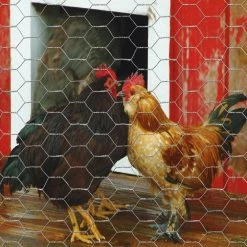 Garden Craft 72" x 150' Chicken Wire with 1" Openings - 167215 - Fence and Wire -Livestock Online Store 7508c70060b7f33f58ef7051a9997195d673afe6 167215 4