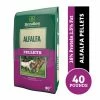 Standlee Premium Western Forage Standlee Premium Alfalfa Pellets, 40 lb. Bag - Forage
