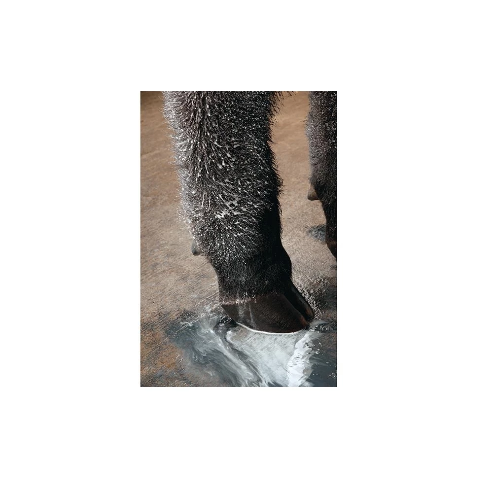 Weaver Livestock Weaver Leather Livestock Pro Re-Fit Adhesive & Paint Remover, 14 oz. Can - 69-2202 - Grooming Tools 4 Weaver Livestock Weaver Leather Livestock Pro Re-Fit Adhesive & Paint Remover, 14 oz. Can - 69-2202 - Grooming Tools - Image 2